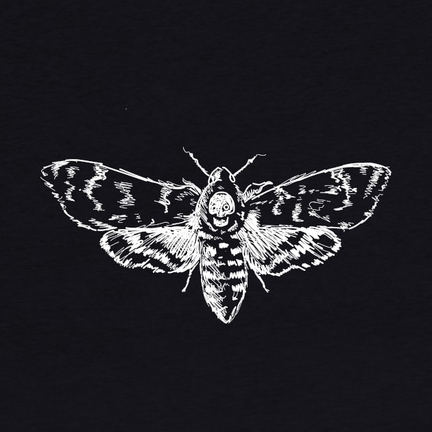 Death's-Head Hawkmoth in White Illustration by ckrickett